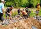 Dari Anak Muda Hingga Sesepuh, 30 Meter Bronjong, Cegah Erosi Sungai di TMMD 126 Kodim 0818/Malang-Batu