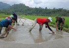 Semangat Gotong Royong Membara, TNI-AURI dan Warga Percepat Pengecoran Jalan Usaha Tani di Lebakharjo Malang